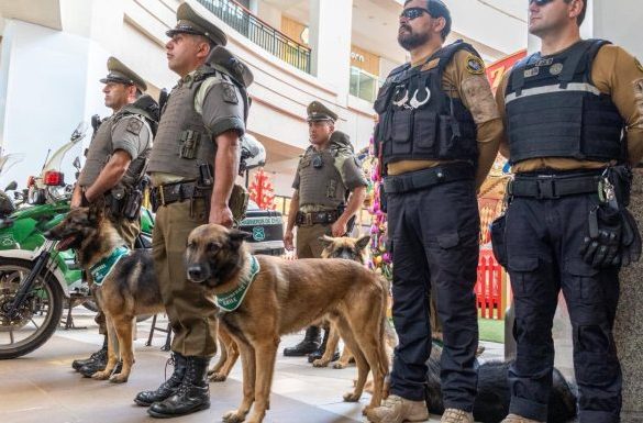 Viña del Mar lanza Plan Navidad Segura 2025 en sectores comerciales